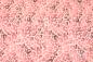 Preview: 0,5 MTR. LEO LOVER JERSEY - ROSE/ALTROSE