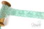 Preview: 1 MTR. ♥ Elastische SPITZENBORTE - MiNT- 3,5cm ♥