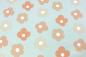 Preview: 0,5 MTR. ♥ FRENCH TERRY - SOMMERSWEAT DAISY FLOWERS MINT/APRICOT ♥