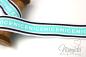 Preview: 1 MTR. NICE WEBBAND - MINT - 3cm